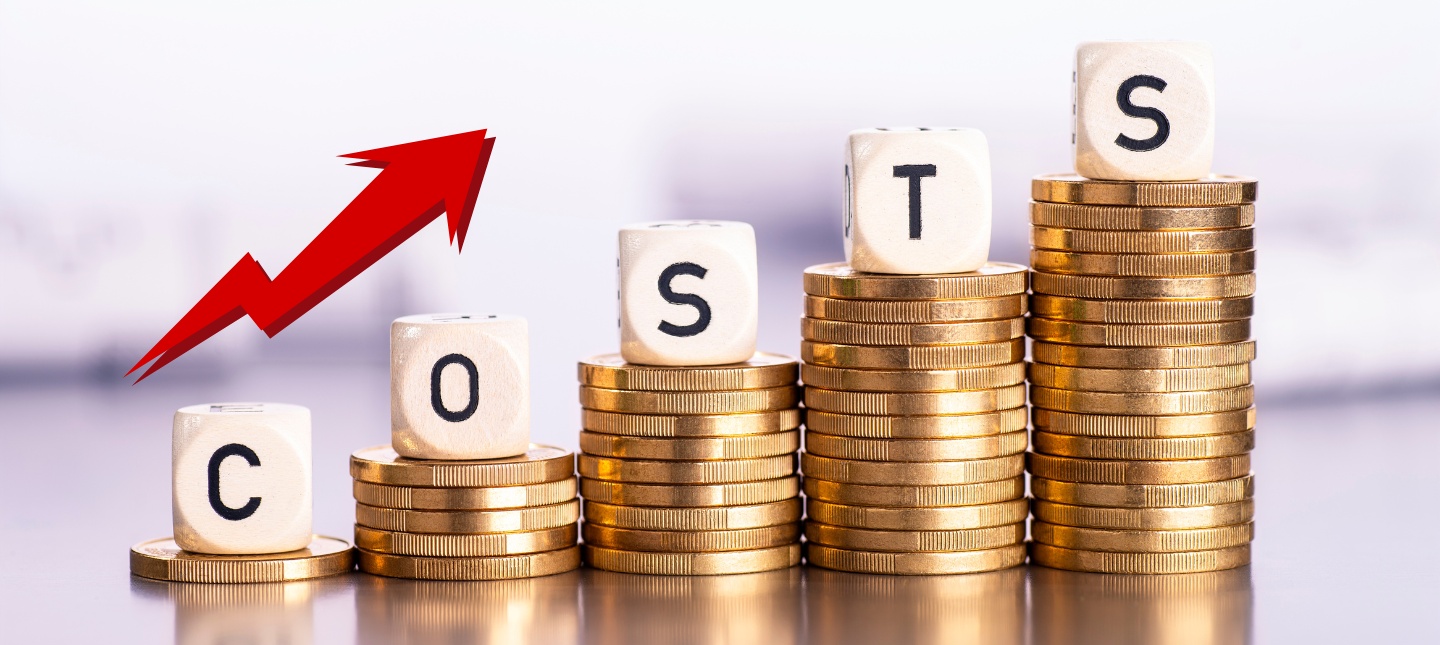 High Implementation Costs & Budget Overruns